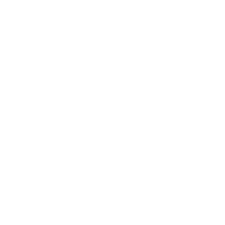 Nucleoo logo
